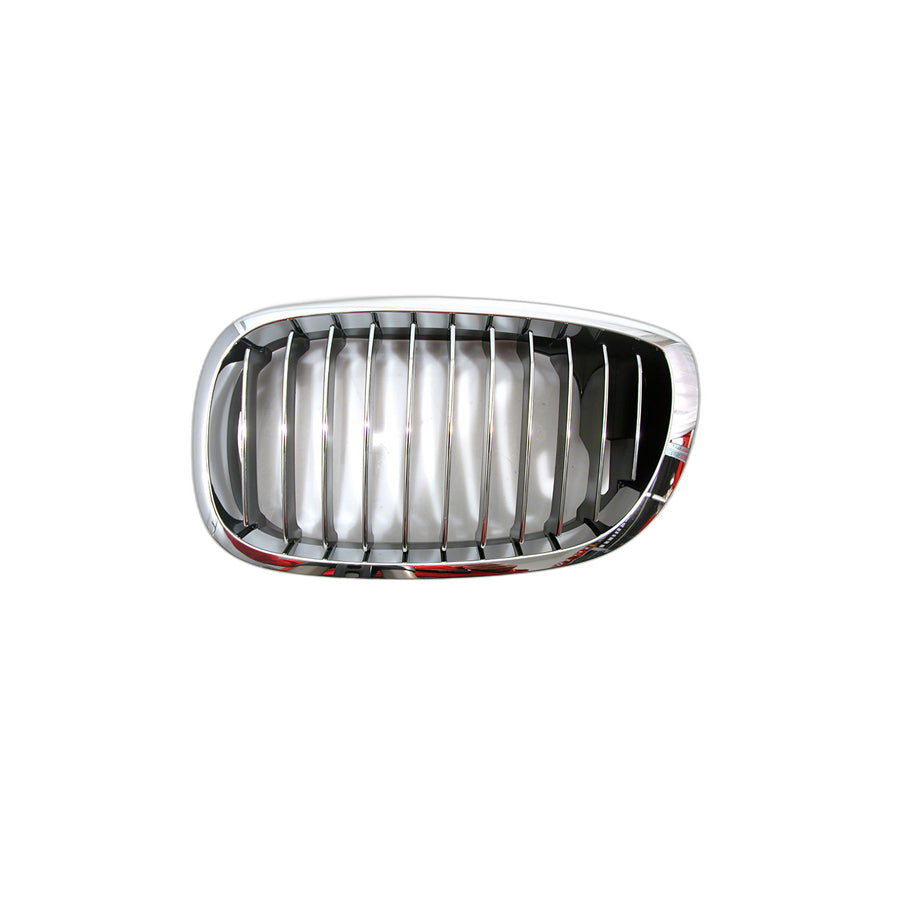 Genuine BMW 51137064317 E46 Grille Left CHROM (Inc. M3 CSL, 325Ci & 320Ci)