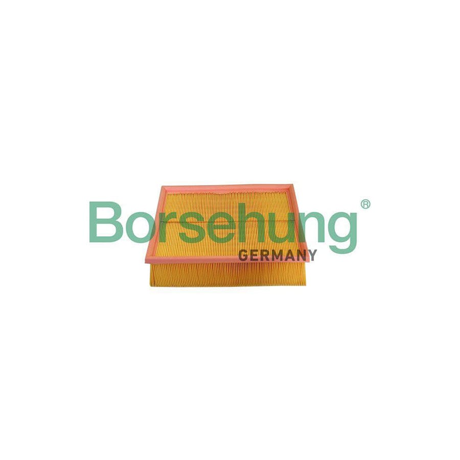 Borsehung B10545 Air Filter