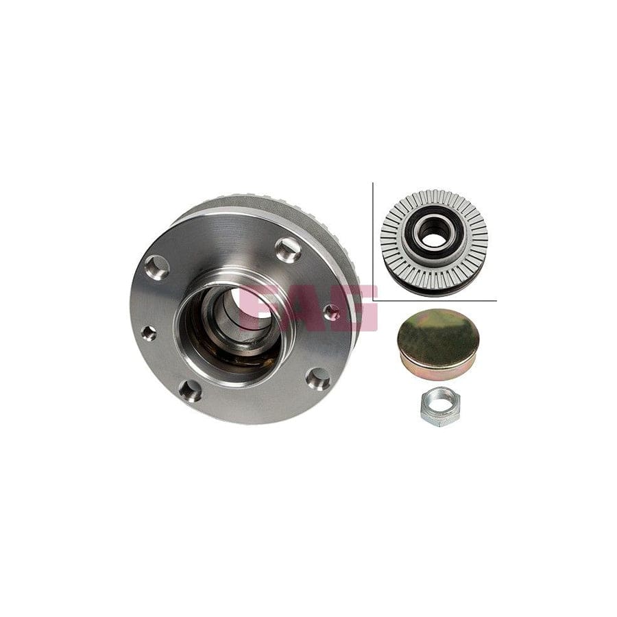 FAG 713 6906 00 Wheel Bearing Kit