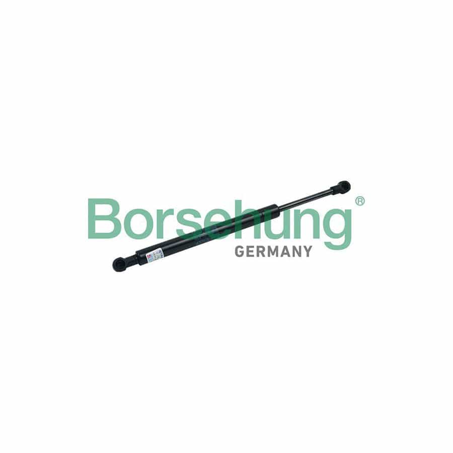 Borsehung B18457 Tailgate Strut For Vw Touareg I (7La, 7L6, 7L7)