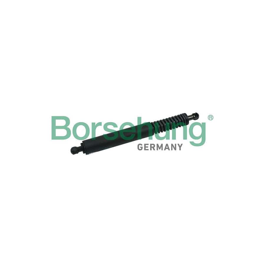 Borsehung B18456 Tailgate Strut For Vw Touareg I (7La, 7L6, 7L7)