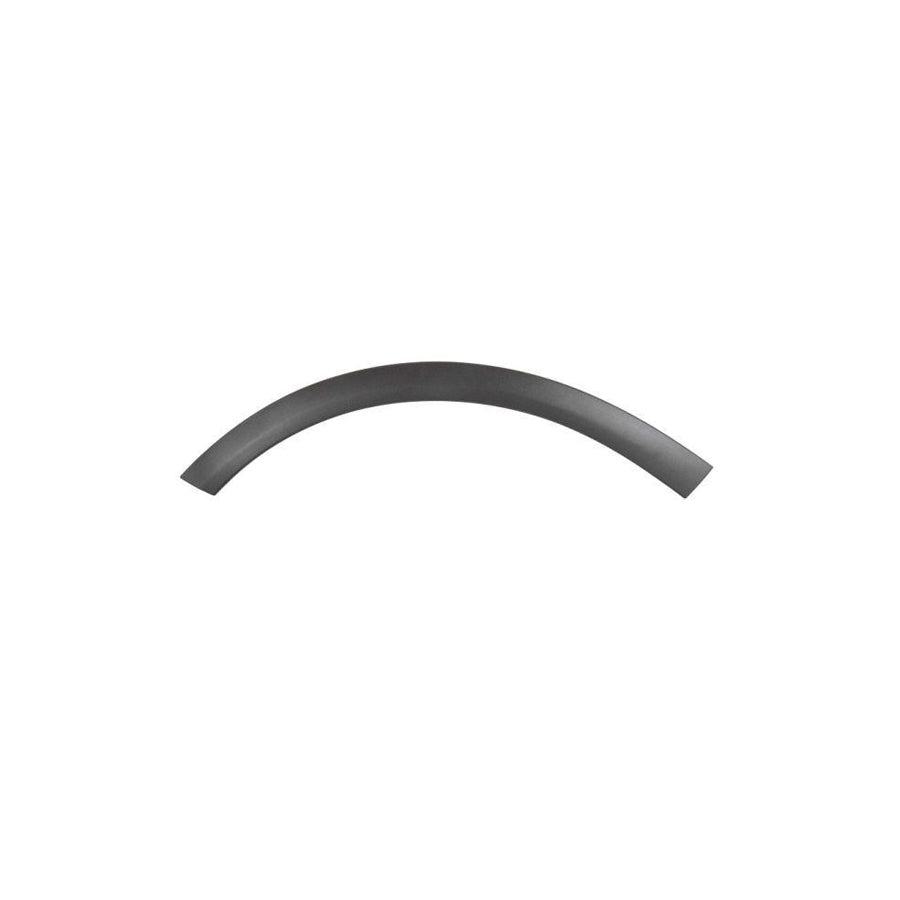 Blic 5703-08-7705376P Trim / Protective Strip, Mudguard