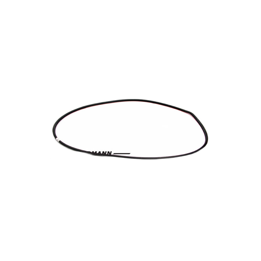 Genuine BMW 51219069322 E39 E38 Front Door Seal (Inc. 750iL, 523i & 535i)