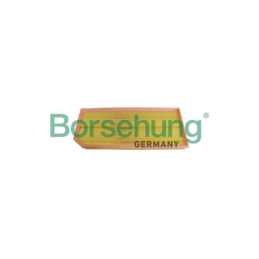 Borsehung B10543 Air Filter