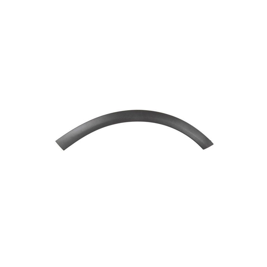 Blic 5703-08-7705375P Trim / Protective Strip, Mudguard