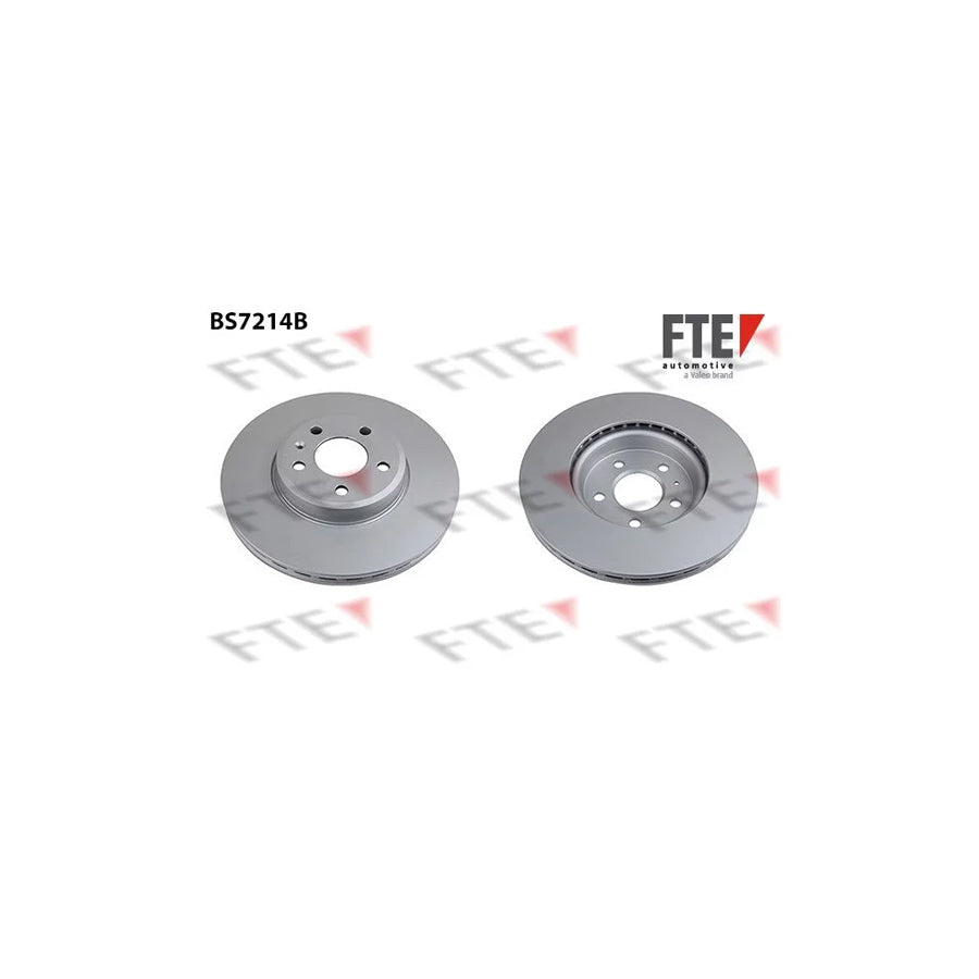 Fte 9081018 Brake Disc | ML Performance UK Car Parts