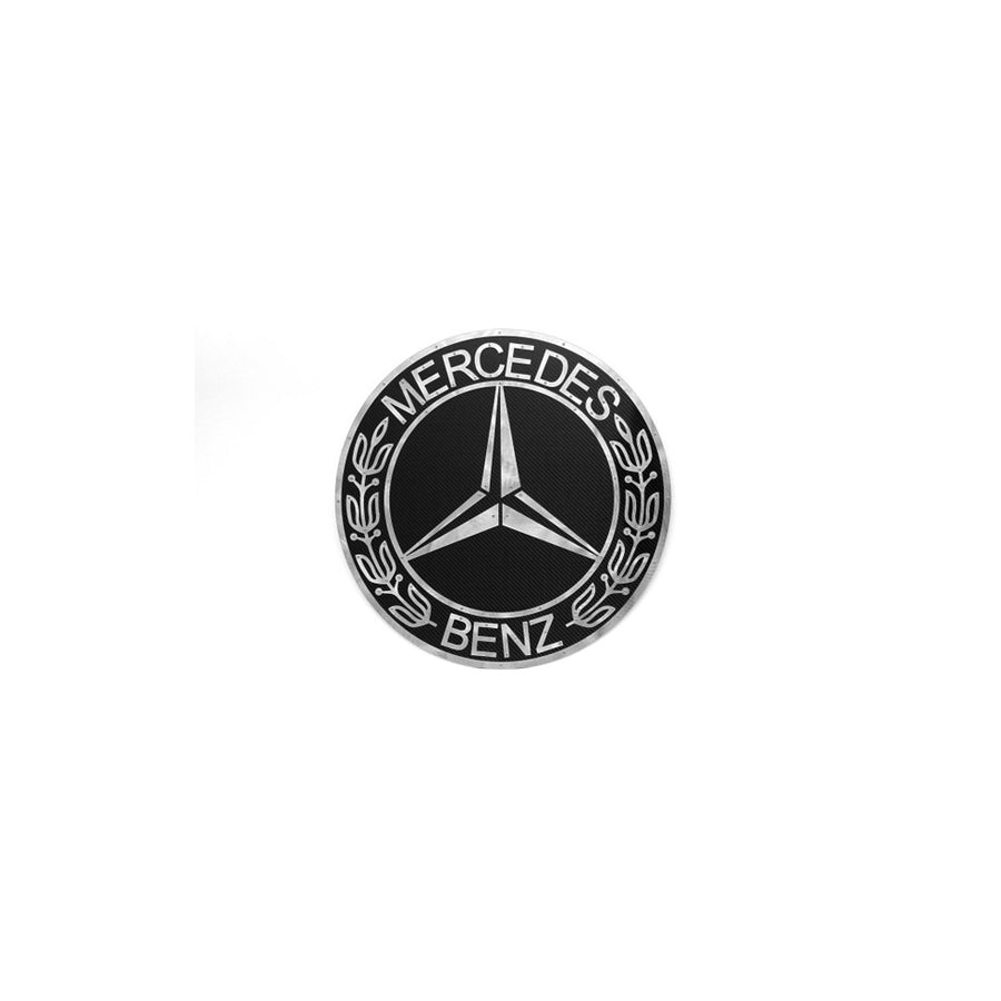 Fabspeed Carbon Fiber Wall Art - Mercedes | ML Performance UK