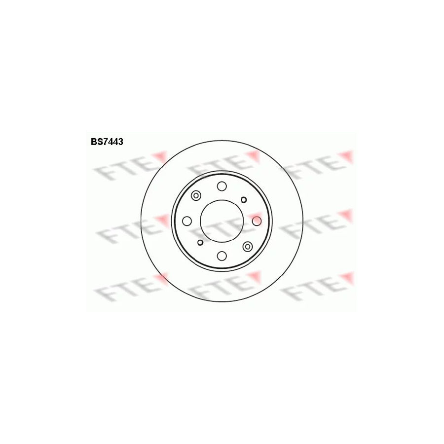 Fte BS7443 Brake Disc | ML Performance UK Car Parts