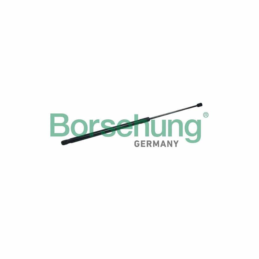 Borsehung B18452 Bonnet Strut For Vw Touareg Ii (7P5, 7P6)