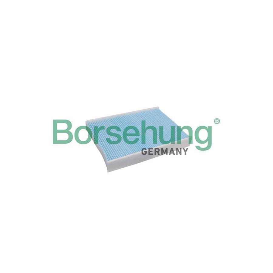 Borsehung B10541 Pollen Filter