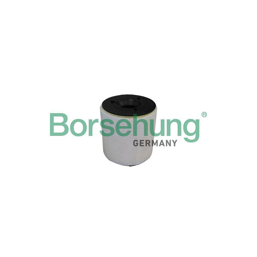 Borsehung B10539 Air Filter