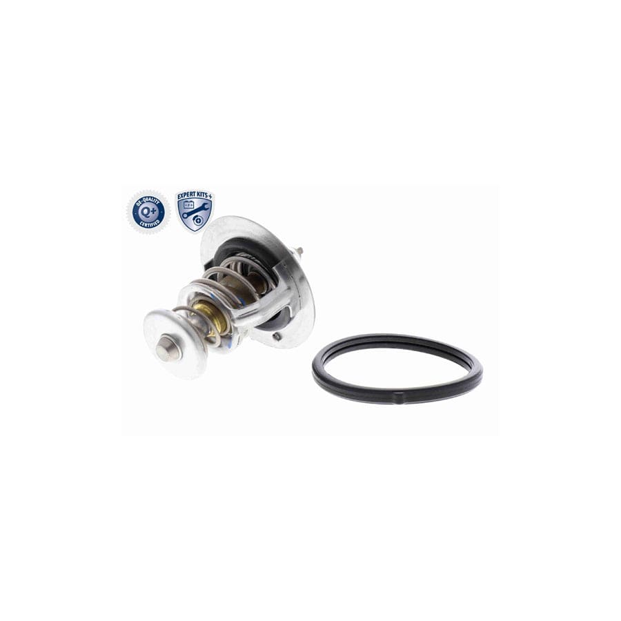 Ackoja A52-99-0019 Engine Thermostat | ML Performance UK