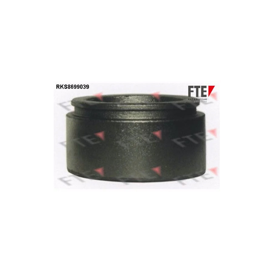 Fte RKS8699039 Piston, Brake Caliper | ML Performance UK Car Parts