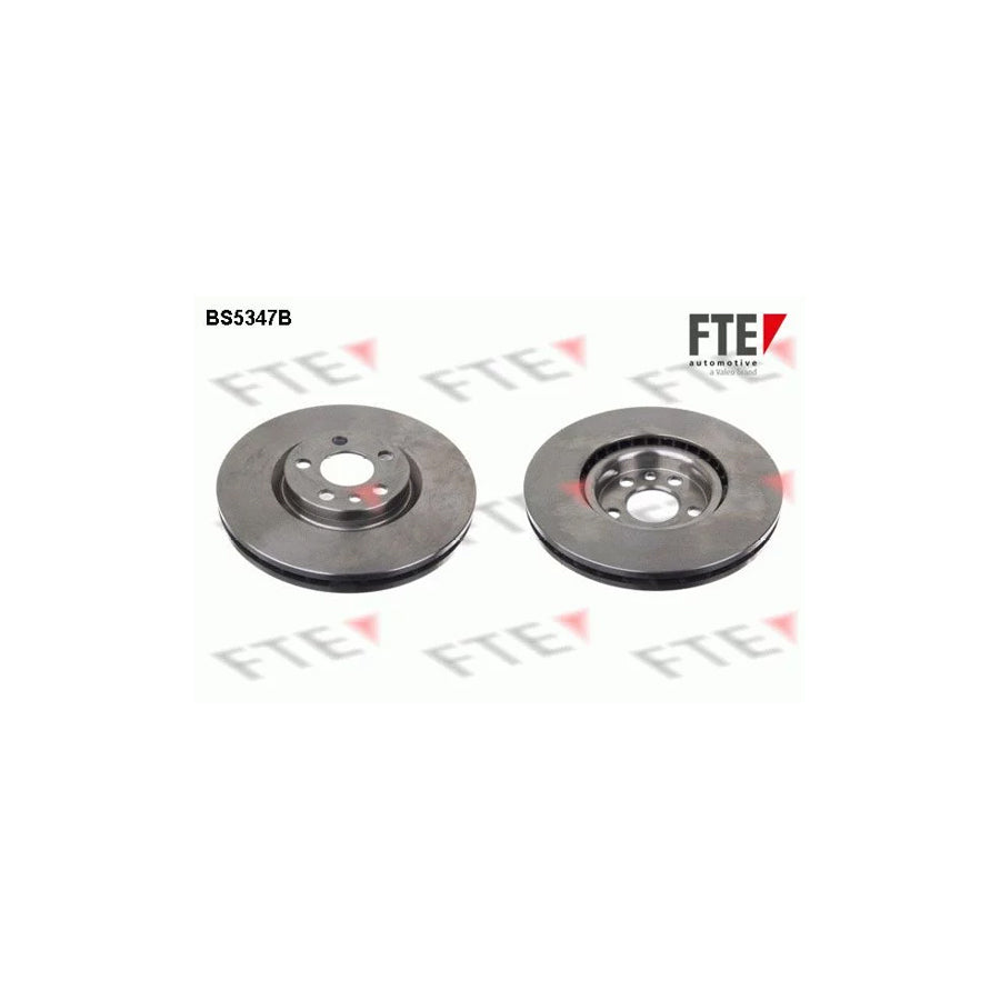 Fte 9081014 Brake Disc | ML Performance UK Car Parts