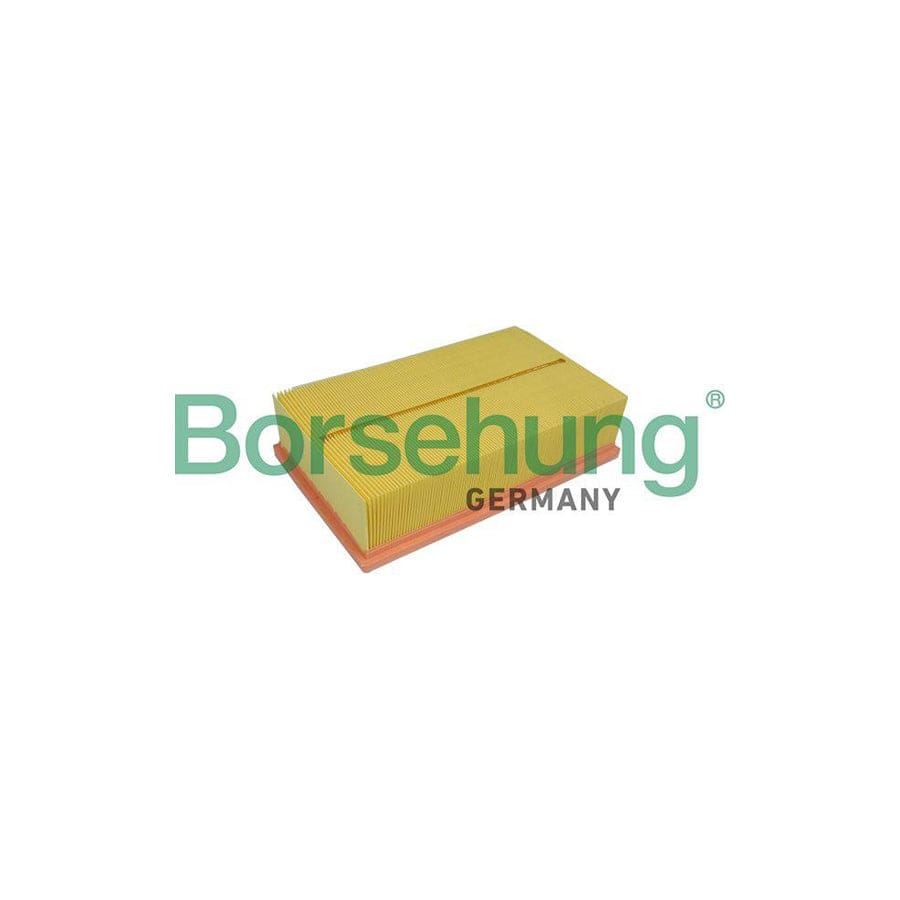 Borsehung B10537 Air Filter