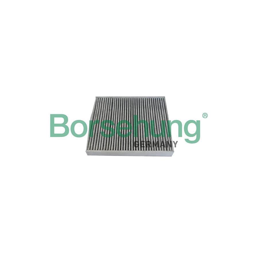 Borsehung B10534 Pollen Filter