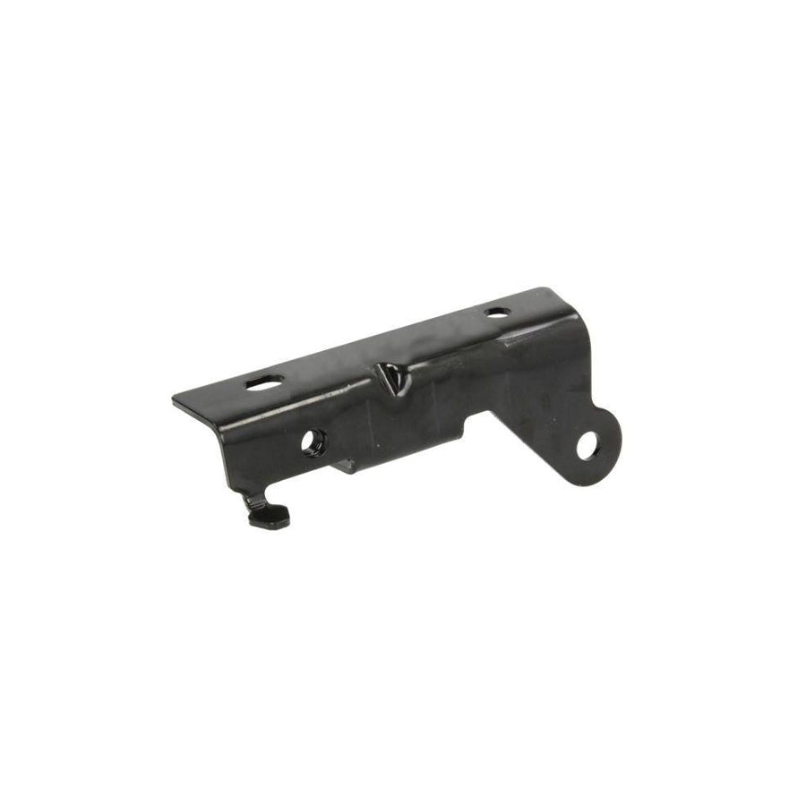 Blic 6802-00-3206453P Hinge, Bonnet