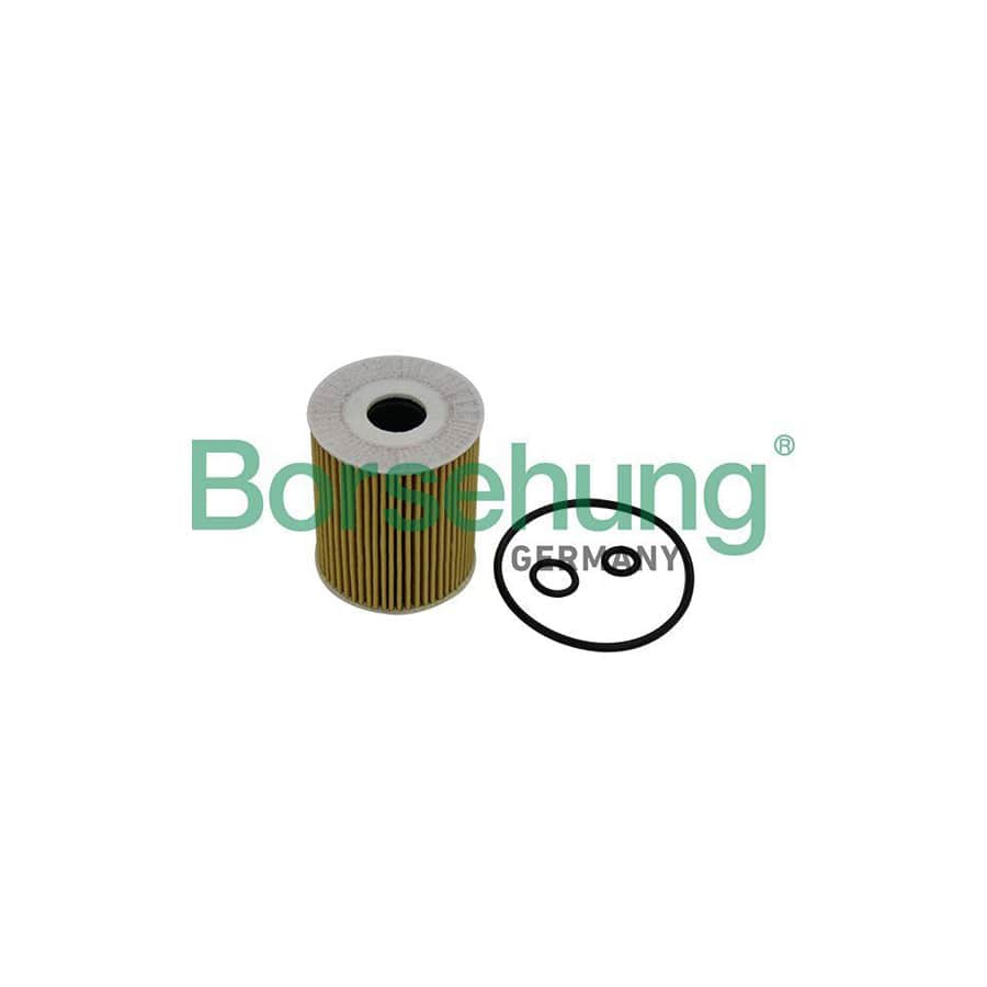 Borsehung B10533 Oil Filter