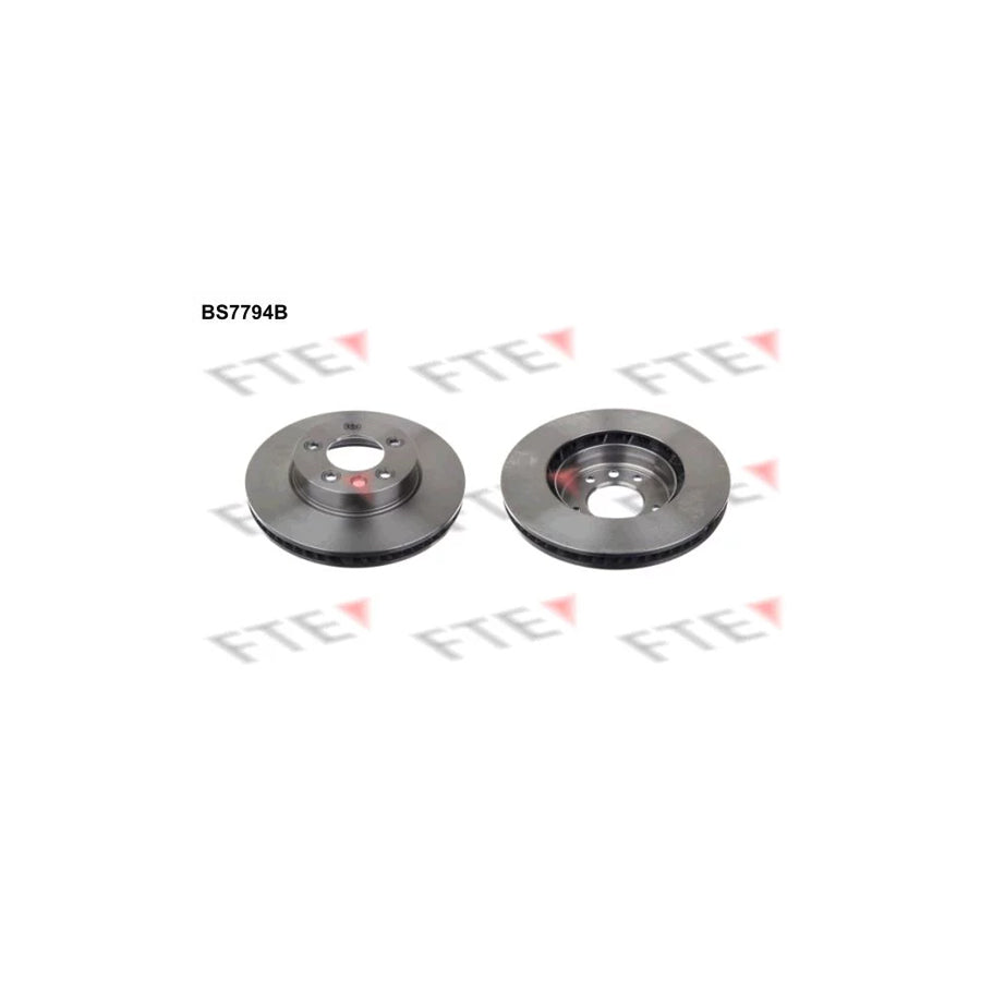 Fte 9081040 Brake Disc | ML Performance UK Car Parts