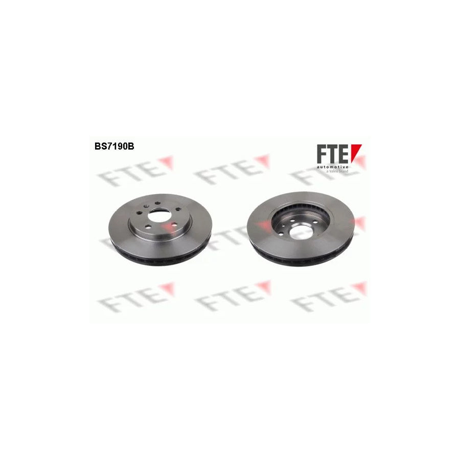 Fte 9081039 Brake Disc | ML Performance UK Car Parts