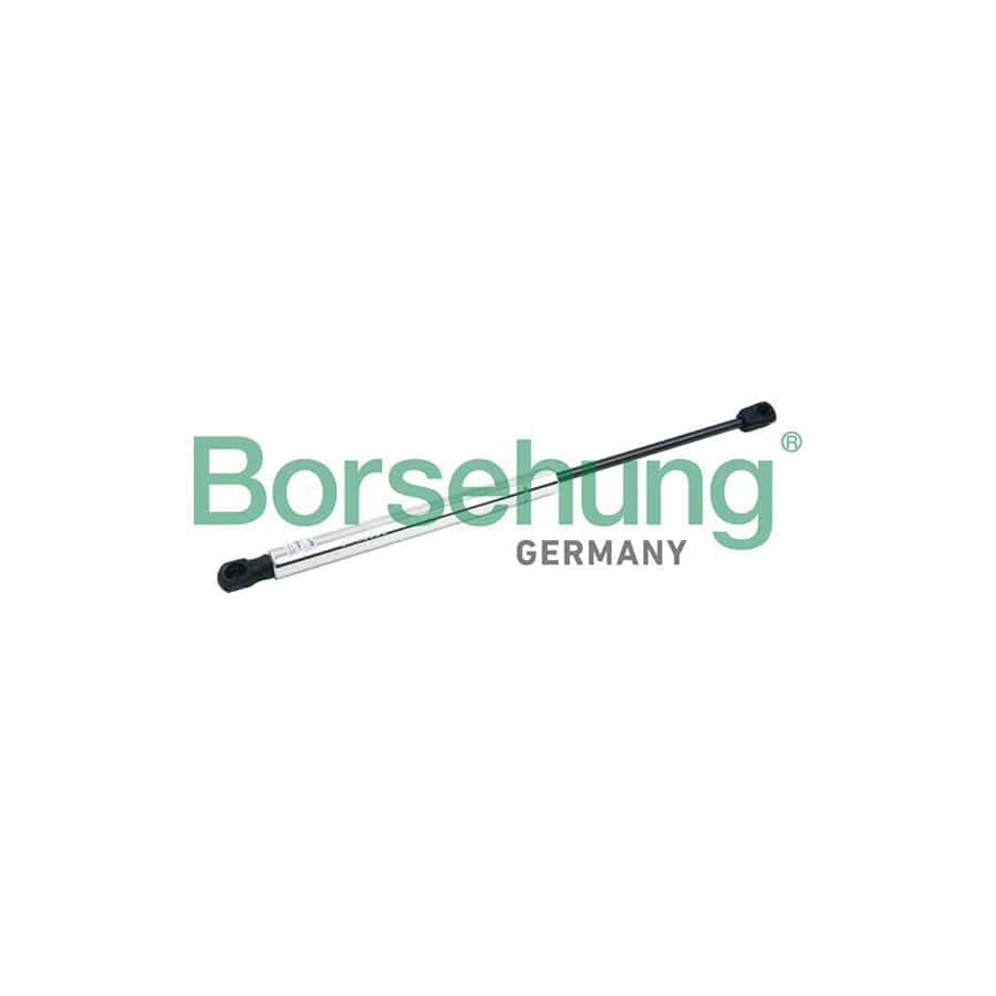 Borsehung B18449 Tailgate Strut For Audi A8 D3 (4E2, 4E8)