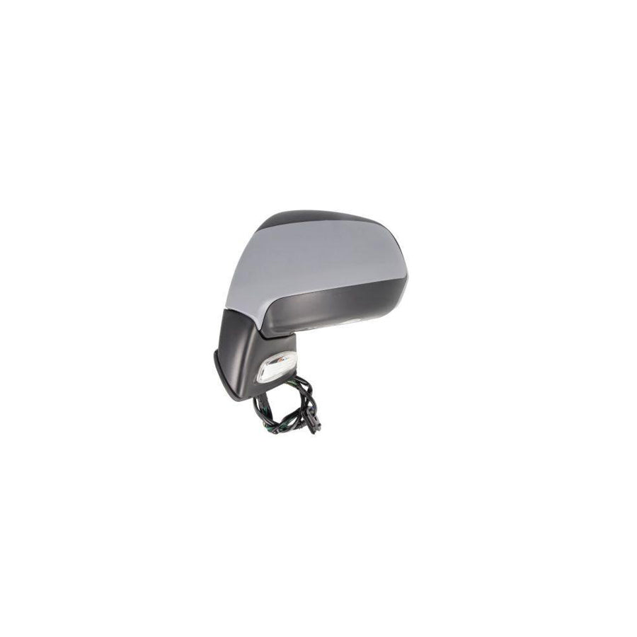 Blic 5402-21-031363P Wing Mirror For Citroen C4