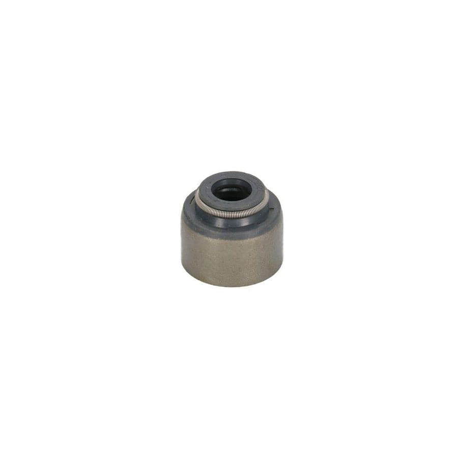 Bta N30501BTA Valve Stem Seal