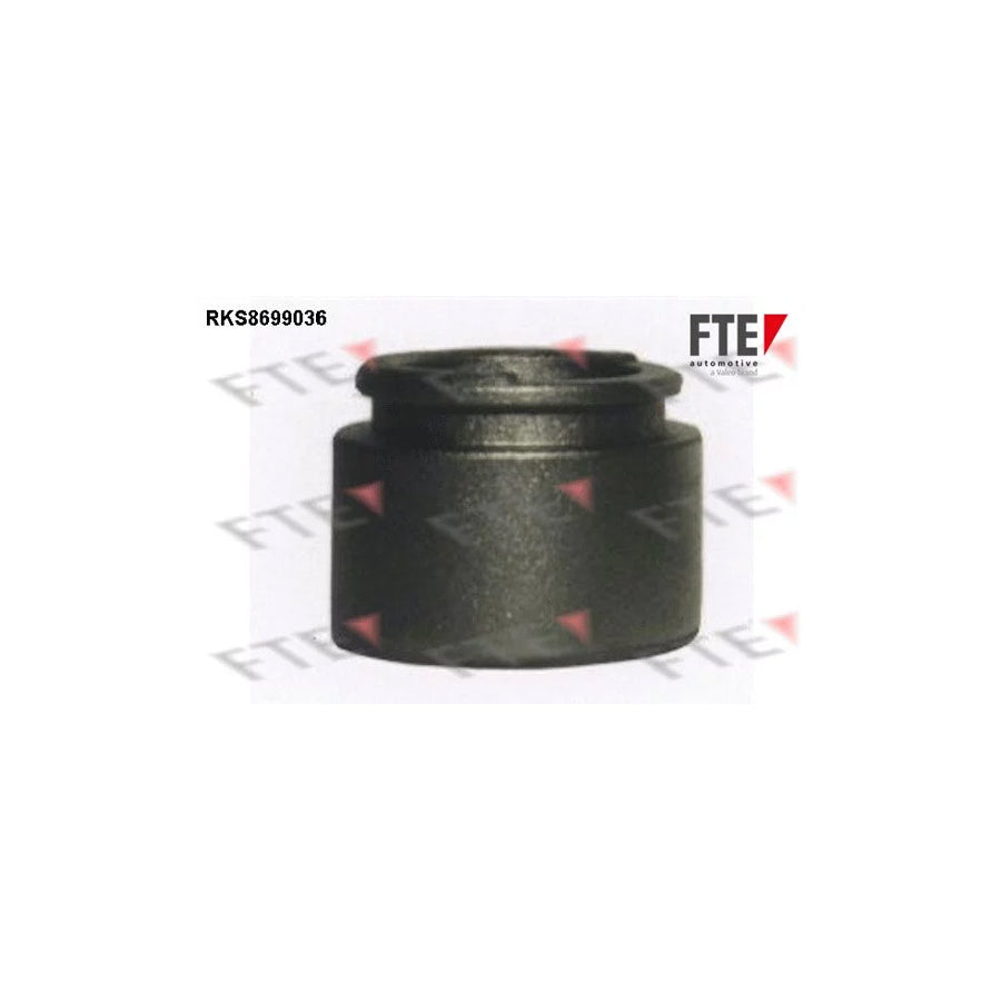 Fte RKS8699036 Piston, Brake Caliper | ML Performance UK Car Parts