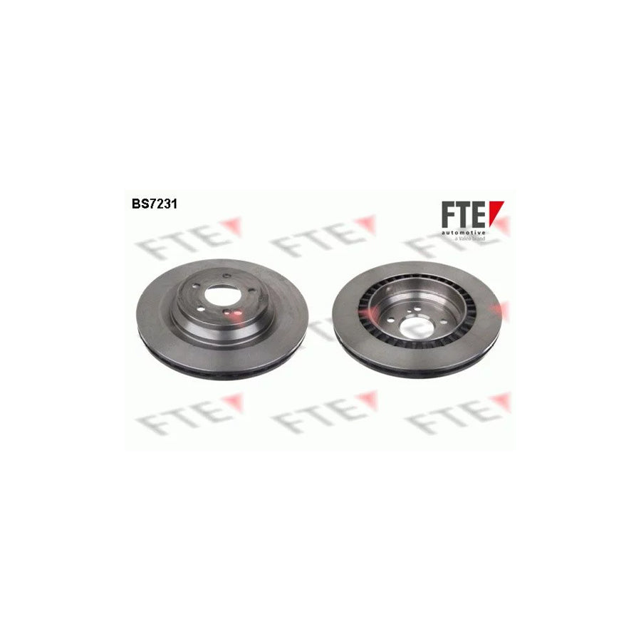 Fte 9071115 Brake Disc | ML Performance UK Car Parts