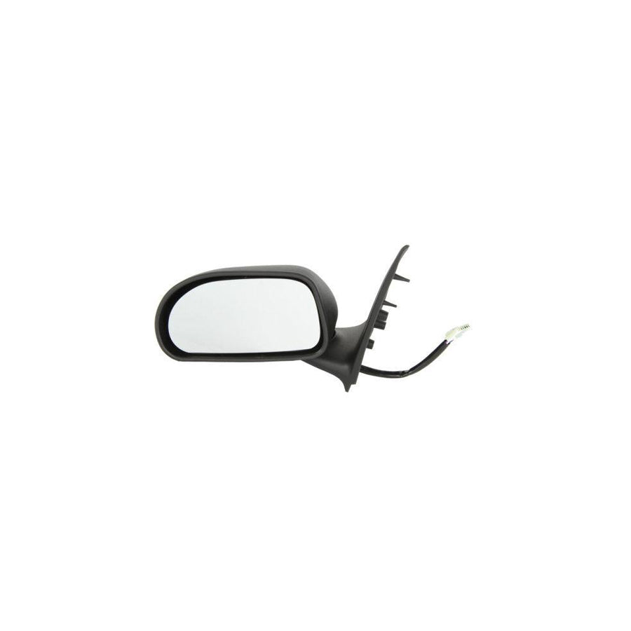 Blic 5402-04-1125296 Wing Mirror