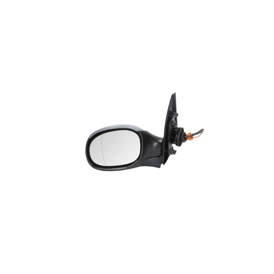 Blic 5402-04-1125295P Wing Mirror For Peugeot 206