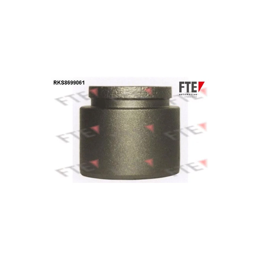 Fte RKS8699061 Piston, Brake Caliper | ML Performance UK Car Parts