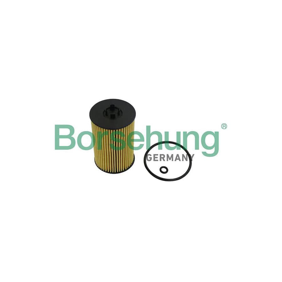 Borsehung B10532 Oil Filter