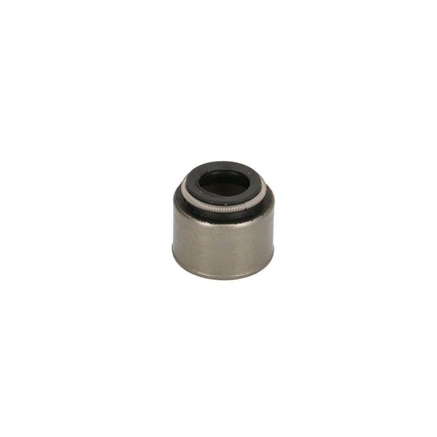 Bta N30302BTA Valve Stem Seal