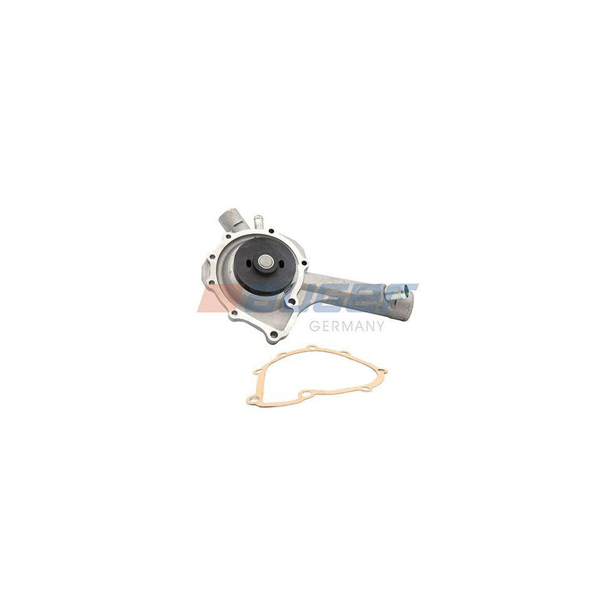 Auger 89814 Water Pump