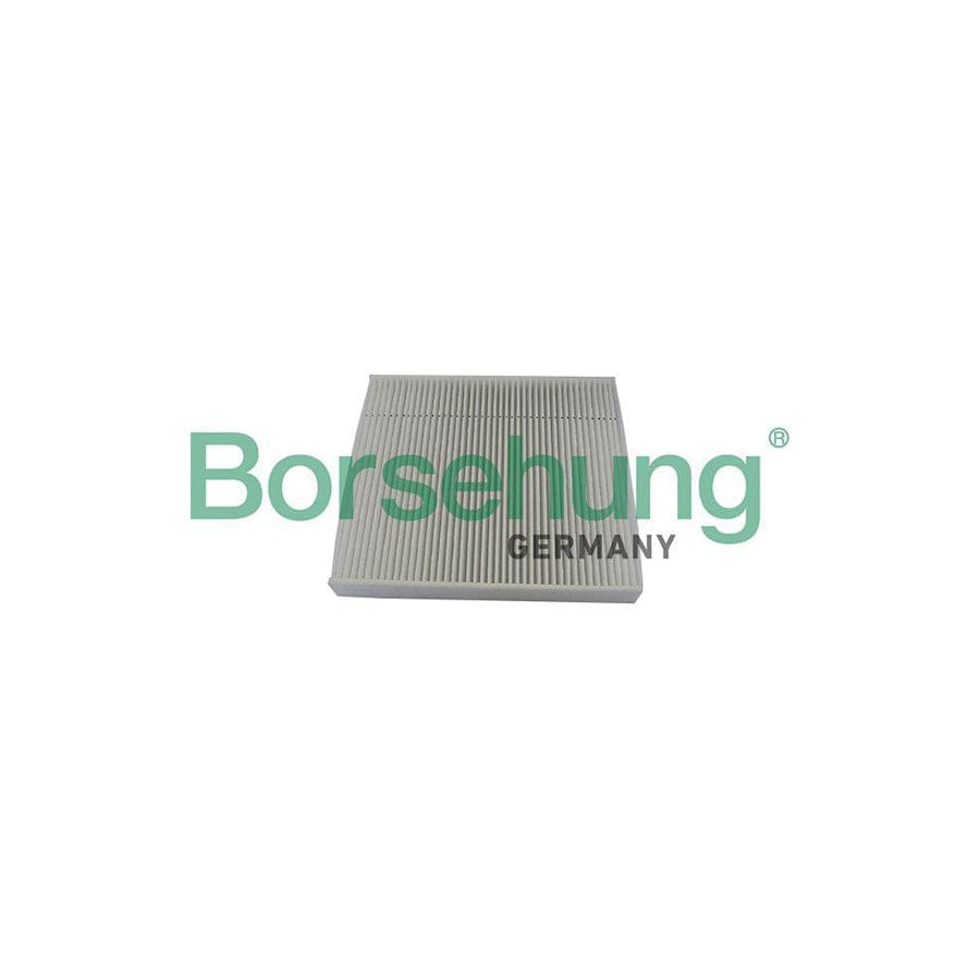 Borsehung B10529 Pollen Filter