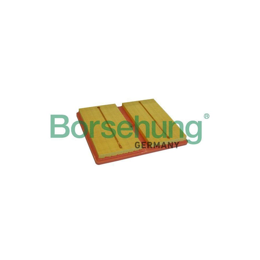 Borsehung B10528 Air Filter