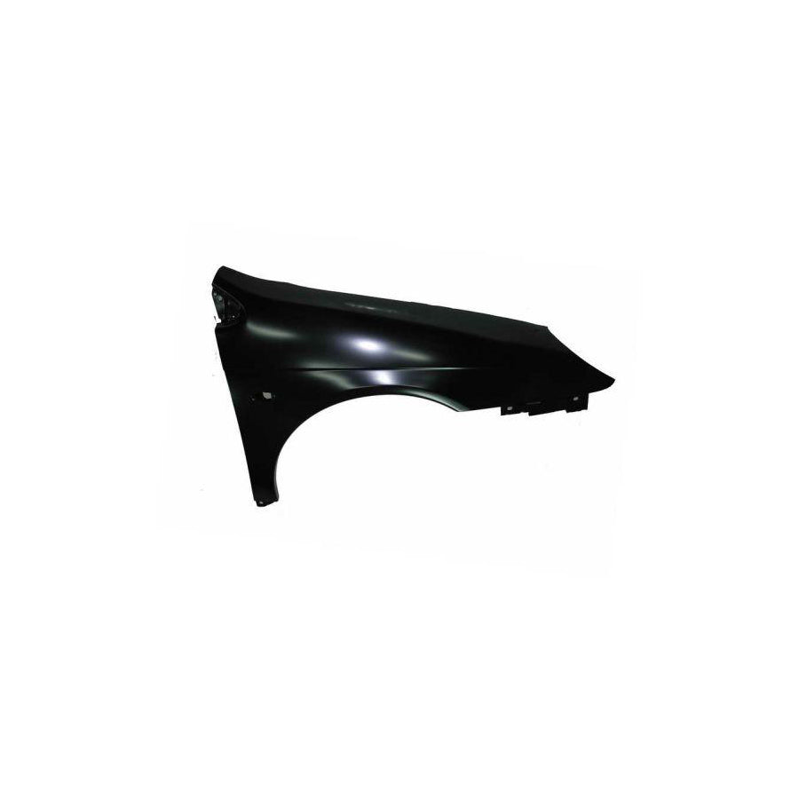 Blic 6504-04-0524312Q Wing Fender For Citroen C5