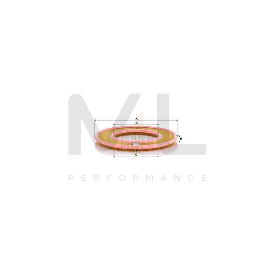 MANN-FILTER C 4190/1 Air Filter Filter Insert | ML Performance Car Parts