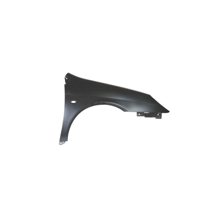 Blic 6504-04-0524312P Wing Fender For Citroen C5