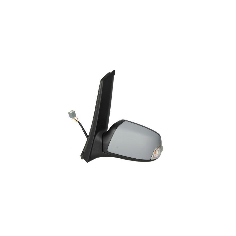 Blic 5402-04-9221398P Wing Mirror