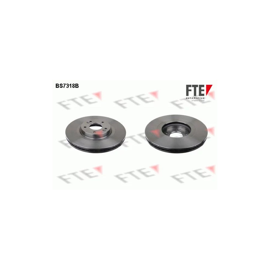 Fte 9081052 Brake Disc | ML Performance UK Car Parts