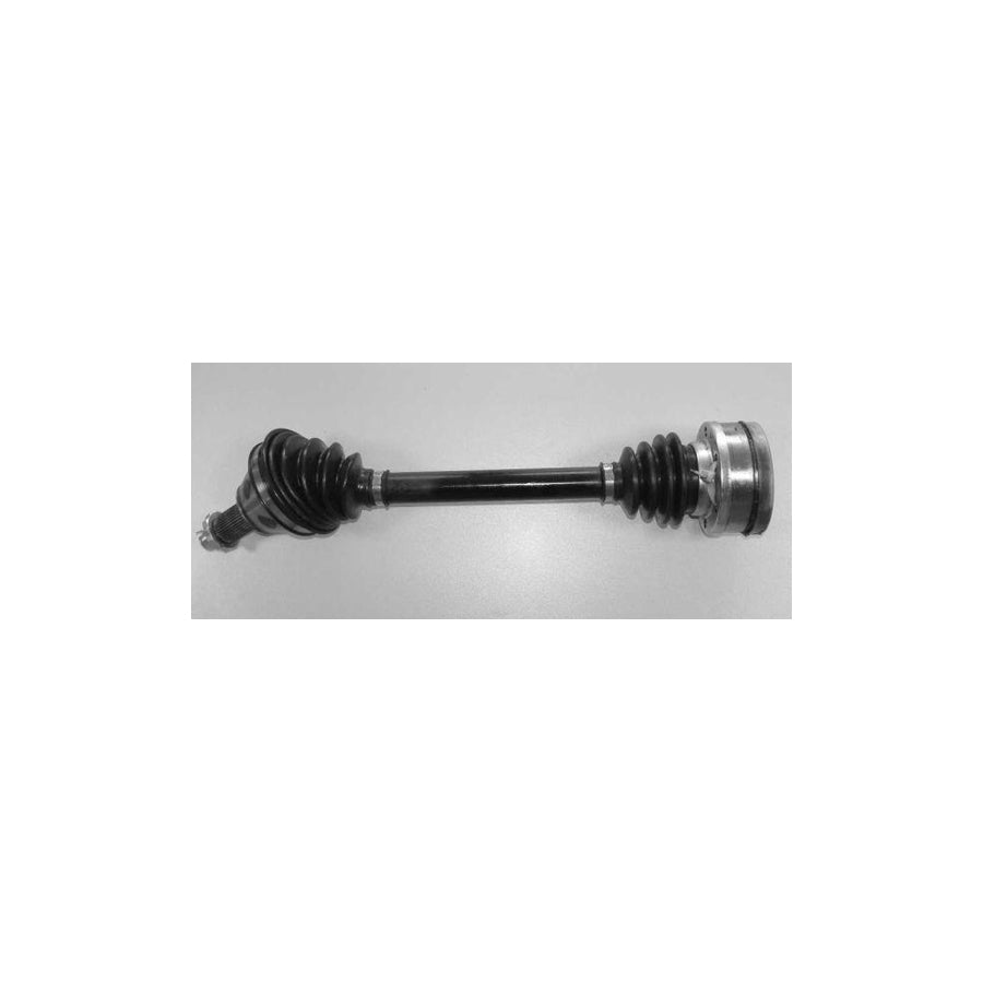 Bugiad BSP20058 Drive Shaft