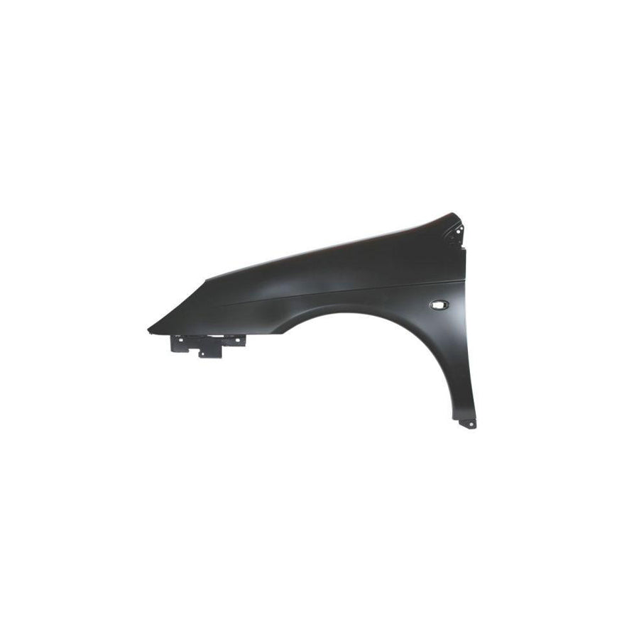 Blic 6504-04-0524311P Wing Fender For Citroen C5