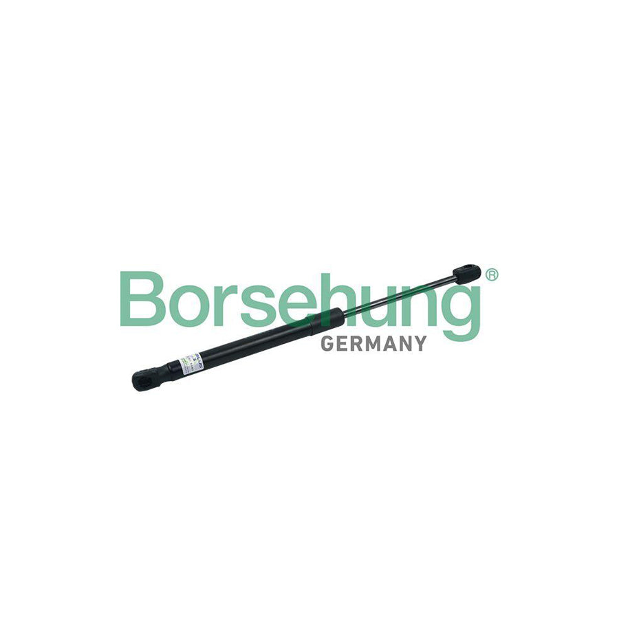 Borsehung B18464 Tailgate Strut For Vw Passat B7 Saloon (362)