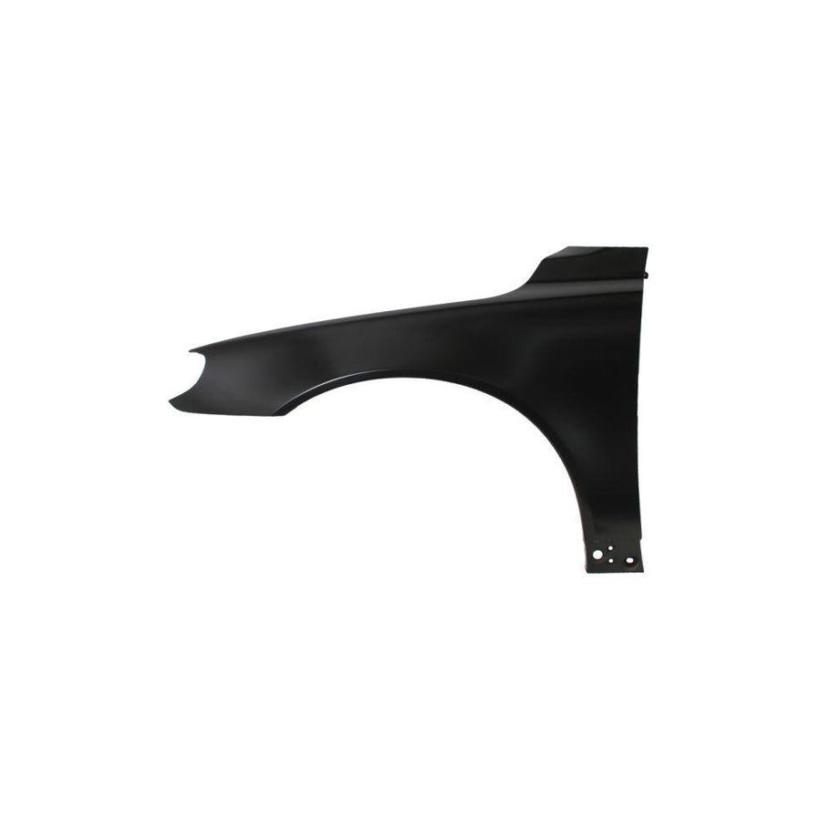 Blic 6504-04-9038311P Wing Fender