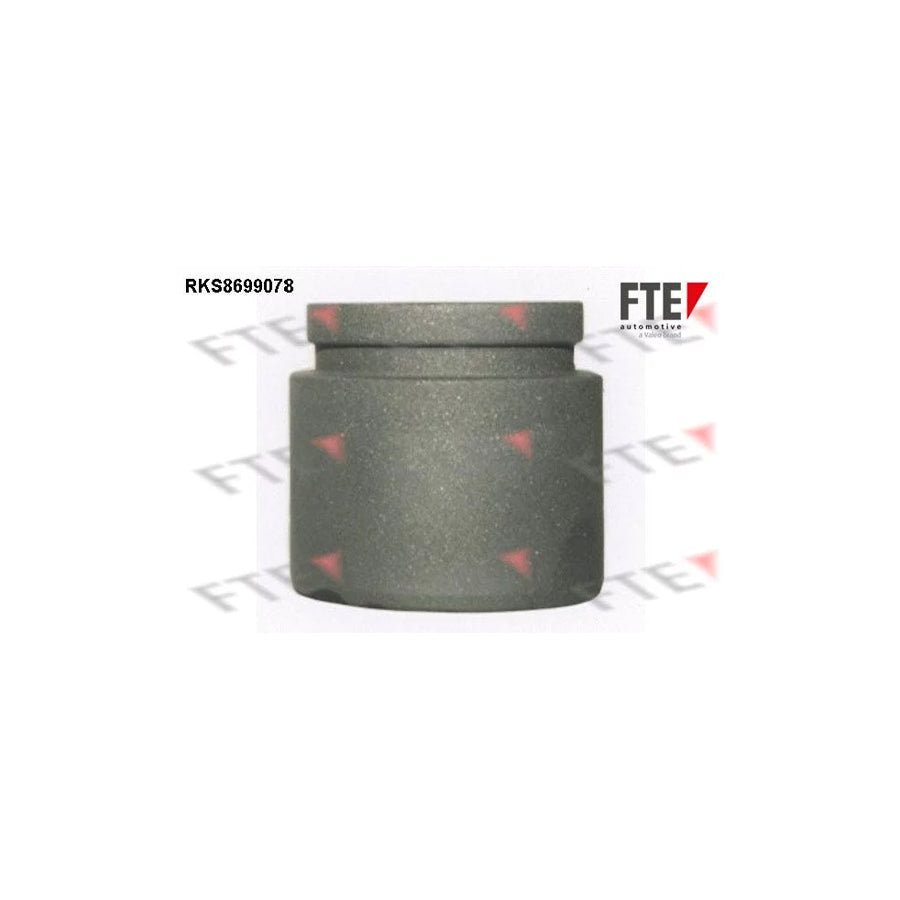 Fte RKS8699078 Piston, Brake Caliper | ML Performance UK Car Parts