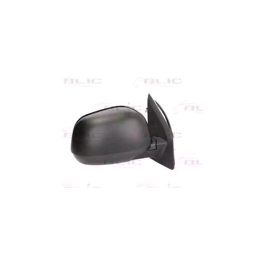 Blic 5402-21-033360P Wing Mirror