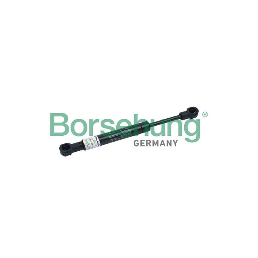 Borsehung B18461 Tailgate Strut