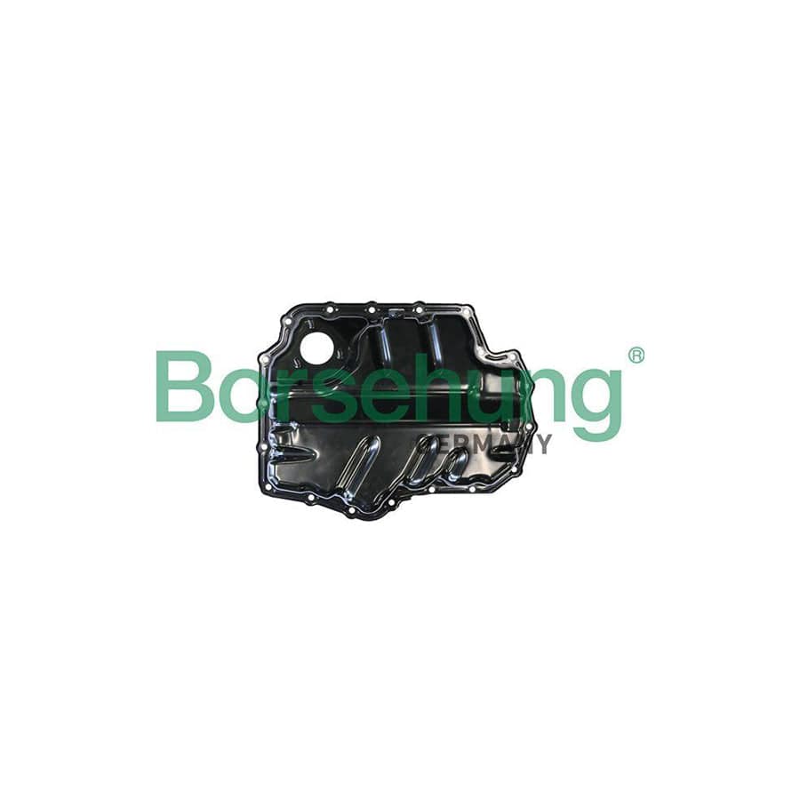 Borsehung B10624 Oil Sump